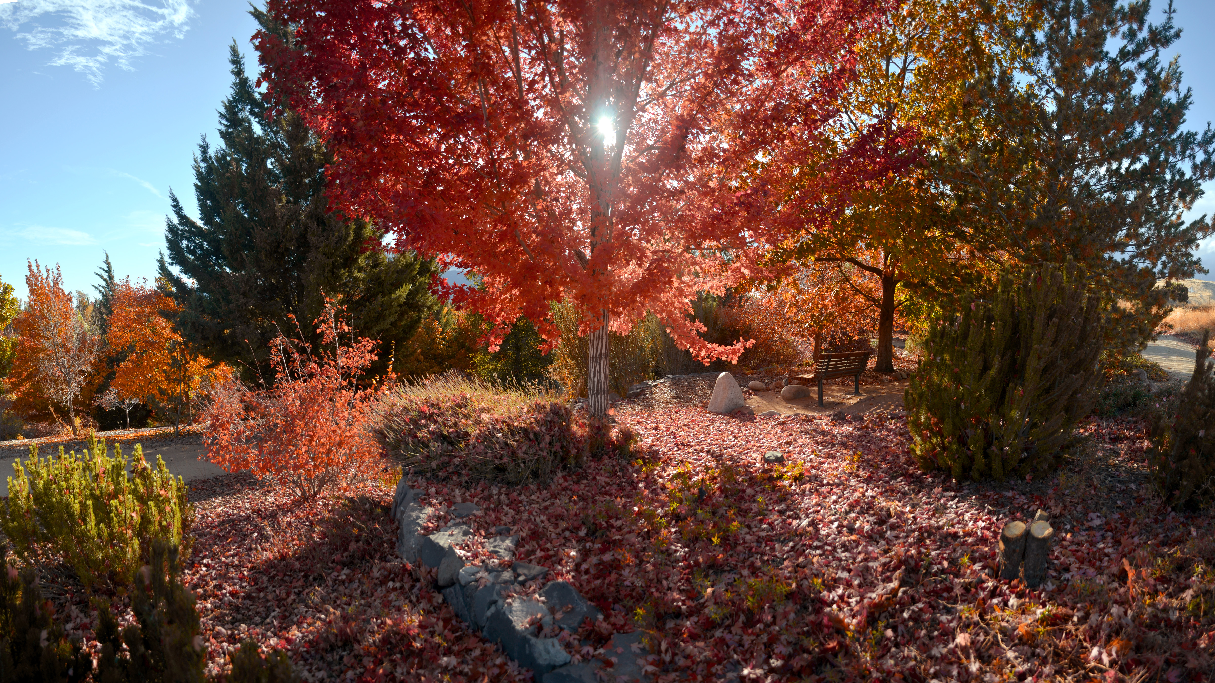 Fall-Bench.jpg