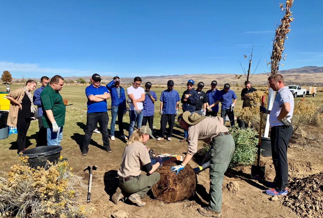 Lithia-Tree-Planting.PNG